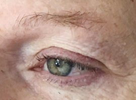valerie before two-tone microblade brow